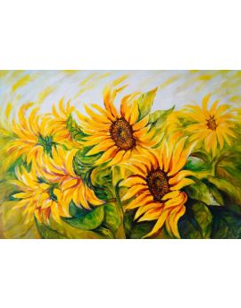 Sunflowers In Bloom