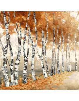 Autumn Gingko Trees