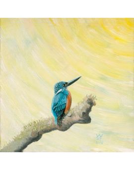 Blue Bird Facing Rising Sun