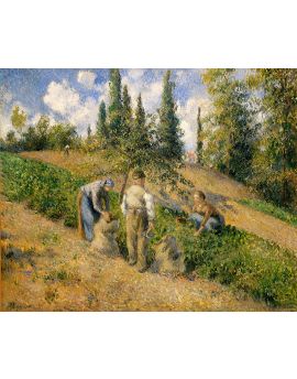 The Harvest, Pontoise (La Recolte, Pontoise) By Camille Pissarro