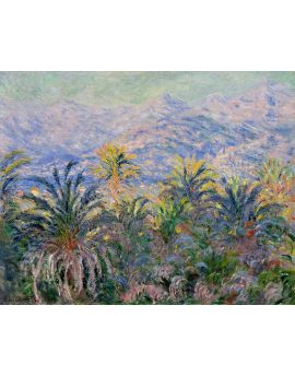 Palm Trees At Bordighera By Claude Monet