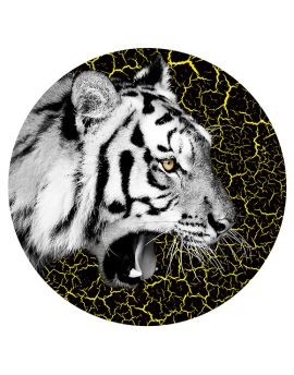 Roaring Tiger