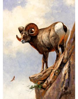 Antelope On Cliff