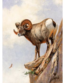 Antelope On Cliff