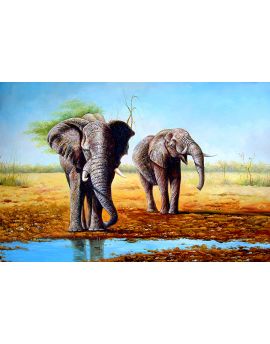 Two Elephants Drinking Water