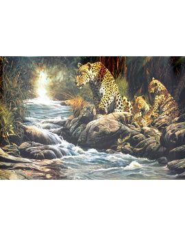Leopards By The River