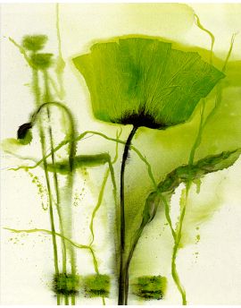 Lotus Leaf And Lotus Seeds