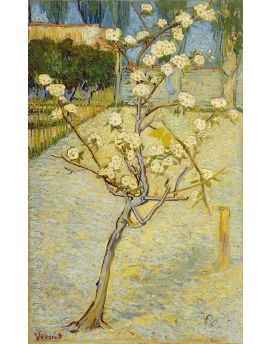 Small Pear Tree In Blossom 1888 By Vincent Van Gogh
