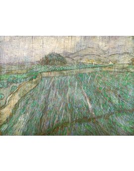 Enclosed Field In The Rain By Vincent Van Gogh