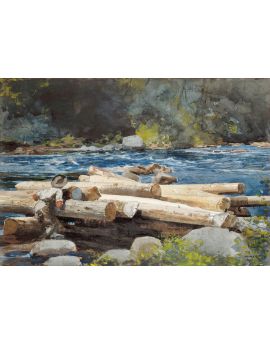 Hudson River By Winslow Homer