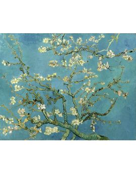 Almond Blossom By Vincent Van Gogh