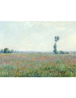 Poppy Field,1881 By Claude Monet