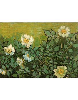 Wild Roses by Vincent van Gogh