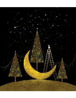 Stars By Liu Yaqin