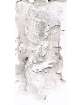 Mottled By Mai Ping