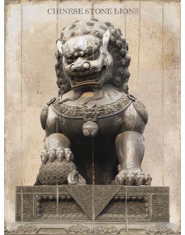 Chinese Stone Male Lion By Shen Zhiyong