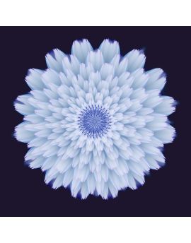 Daisy By Chen Zhan