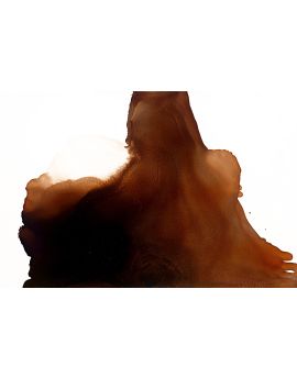 Brown By Wang Junsen