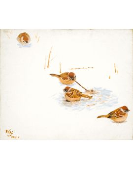 Sparrows In The Snow By Wang Shufan
