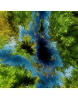 The Overlooking View Of The Water Forest By Wen Yuke