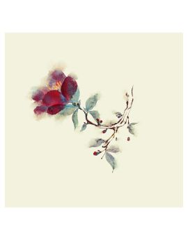 Camellia By Xi Mu