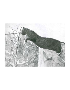 The Cat Wanting To Fly By Xu Liang