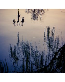 Reflections Of Street Lamps And Willows In The Lake By Yan Jun