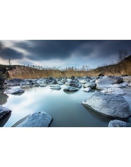 Silent Stone Pond By Chen Ming