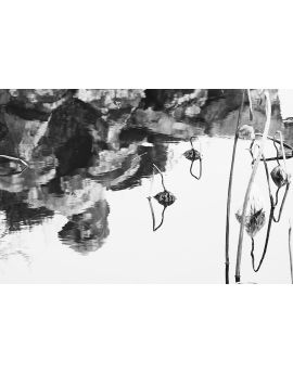 Withered Lotus Pond By Yang Wenxian
