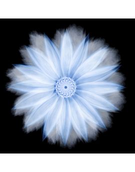 Blossom By Chen Zhan
