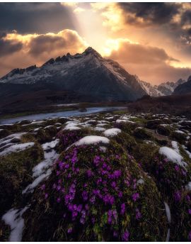 Foot Of Snow Mountain By Du Wuchao