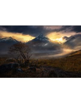 Grassland At The Foot Of Snow Mountain By Du Wuchao