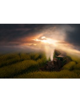 Train In Golden Rape Flower Field By Du Wuchao