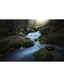 Mountain Stream By Du Wuchao