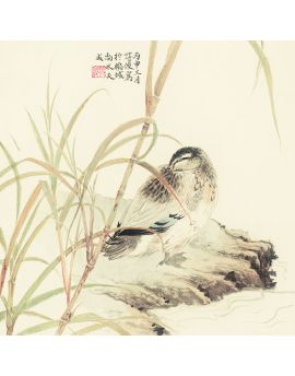 Preening Feathers By Fu Jun