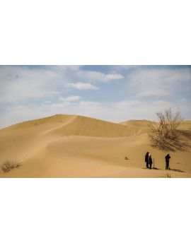 Sand Dune By Huang Yiwei