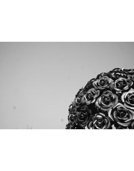 Roses By Haung Yiwei