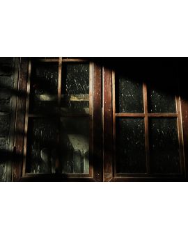 Wood Windows By Huang Yiwei