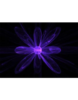 Purple Flower By Li Lulu