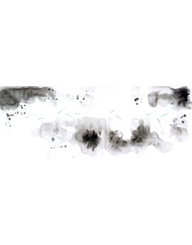 A School Of Little Fish 1