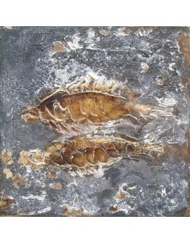 Fish Fossils