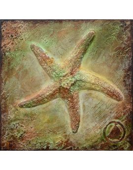 Starfish Fossil