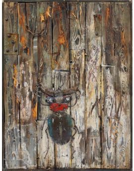 Beetle On Wooden Wall