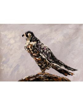 Bird Standing On Stone