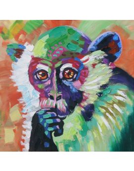 Colorful Monkey