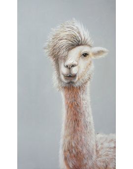 Long Neck-Alpaca
