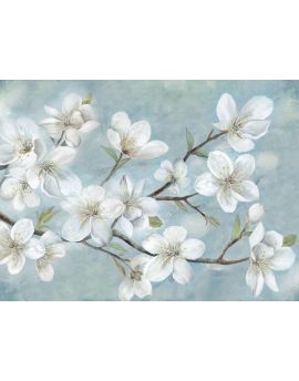 White Peach Blossom