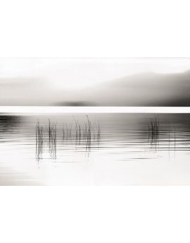 Tranquil Dawn