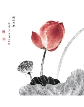 Plump Lotus Bud