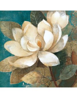 Magnolia In Full Bloom